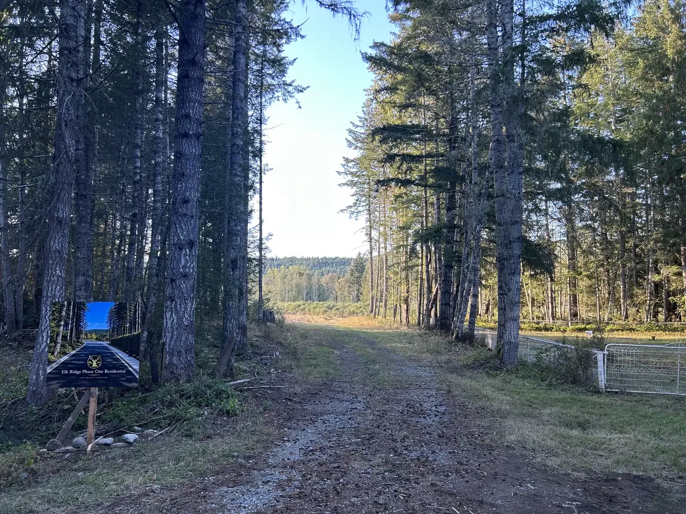 The wooded entrance lane opening onto a sunlit meadow