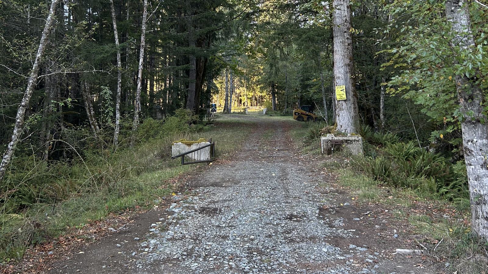 The access road leading into the Phase 1 clearing, with forested hills behind