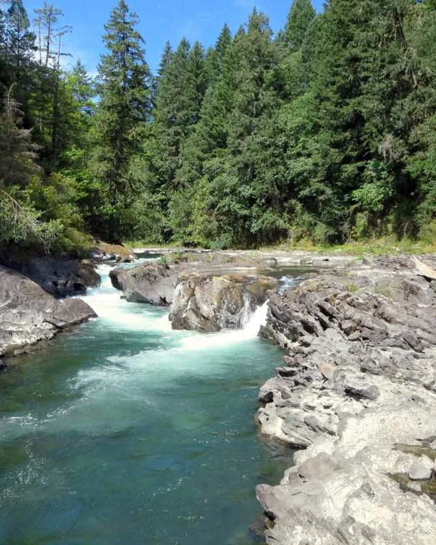 Clear green water of the Cowichan River flowing between rocks and forest